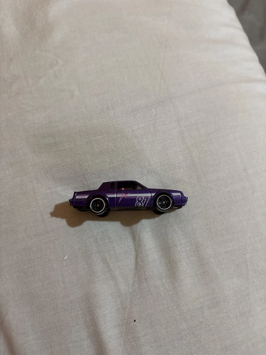 Hot Wheels 87 Buick Regal GNX Treasure Hunt  1:64