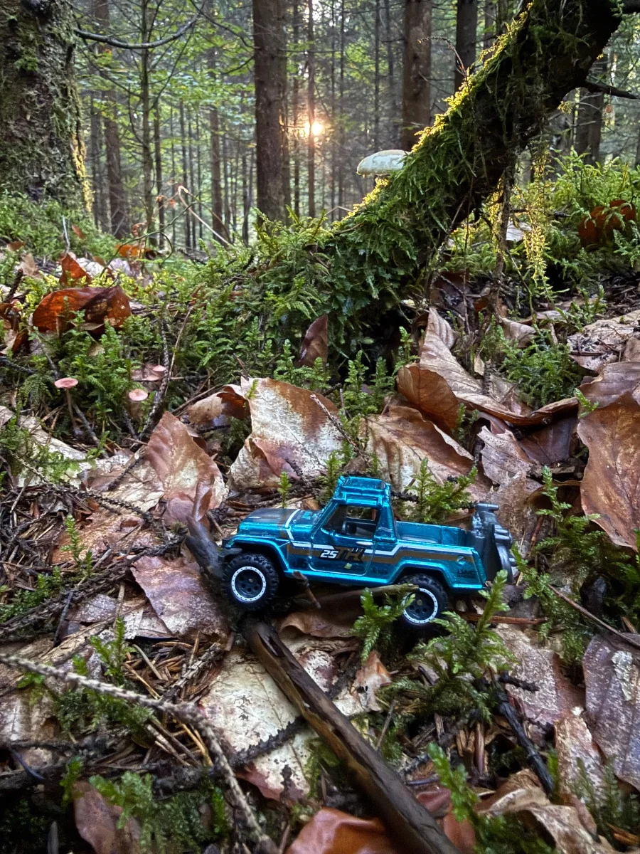 Hot Wheels 67 Jeepster Commando 1:64